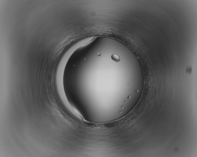 X0000112460744200909071109