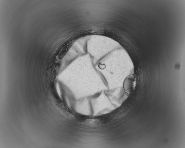 X0000112460748200909071109