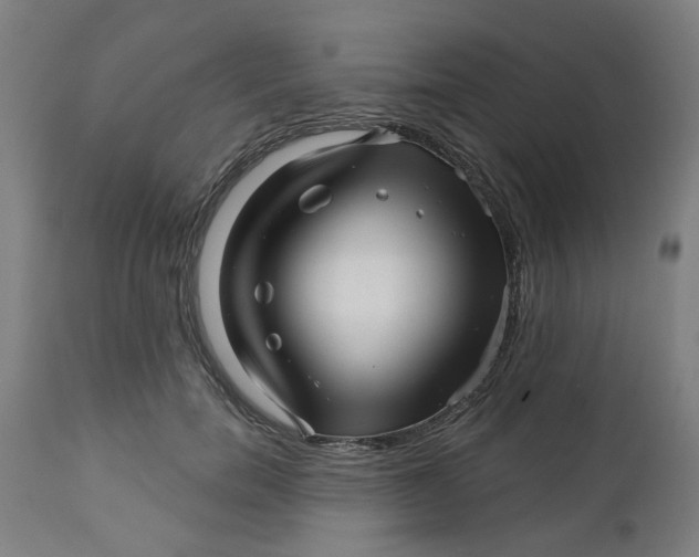 X0000112460750200909071109