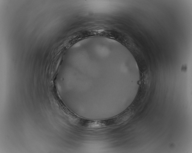 X0000112460754200909071109