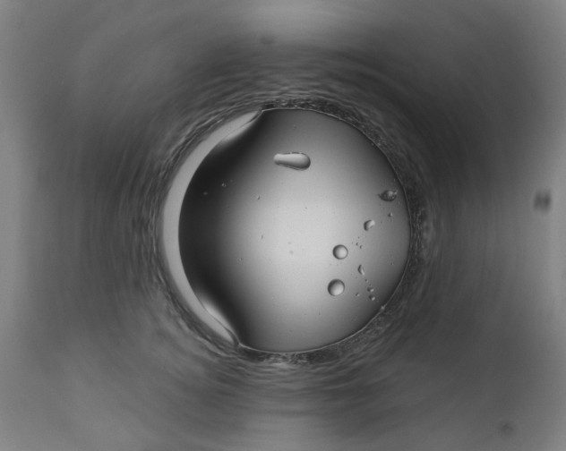 X0000112460756200909071109