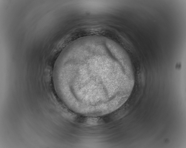 X0000112460757200909071109