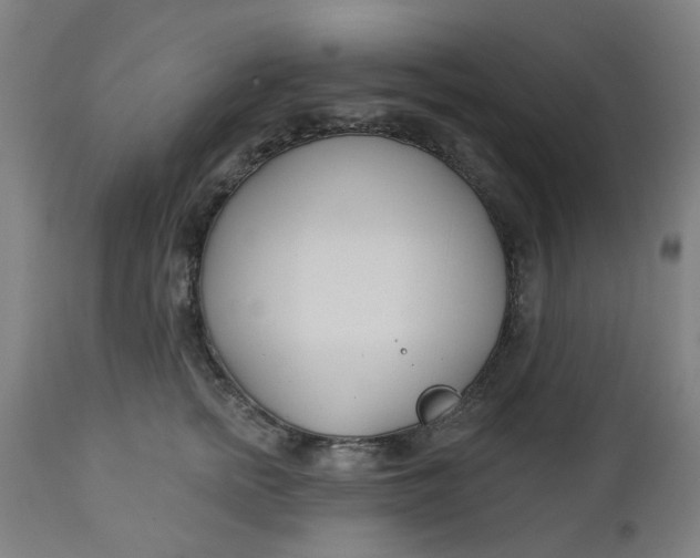 X0000112460758200909071109