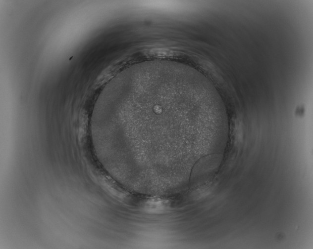 X0000112460760200909071109