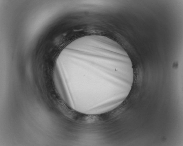 X0000112460762200909071109