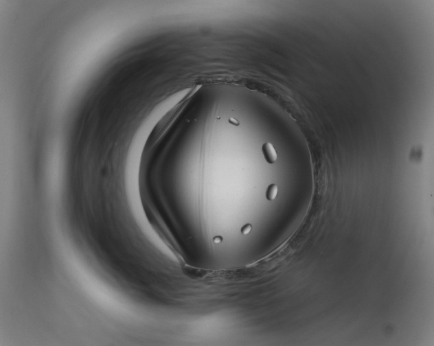 X0000112460764200909071109