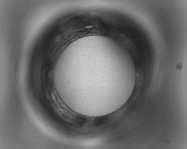 X0000112460765200909071109