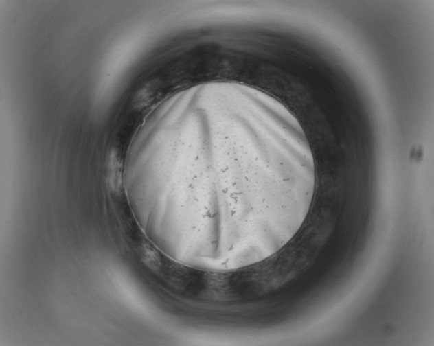 X0000112460766200909071109