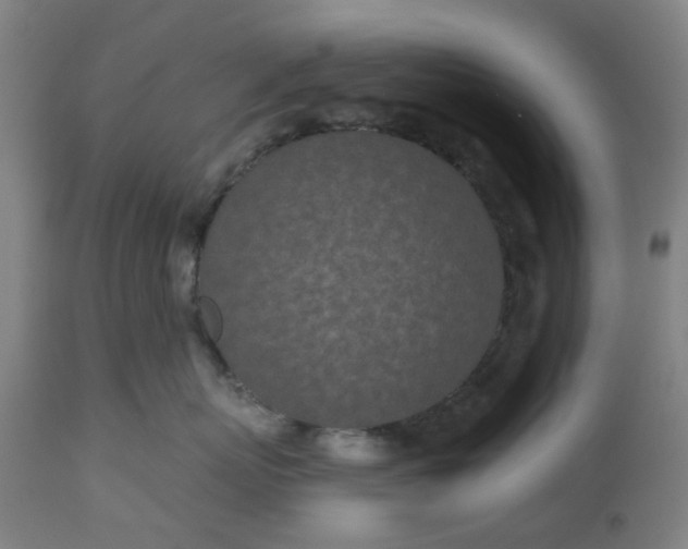 X0000112460767200909071109