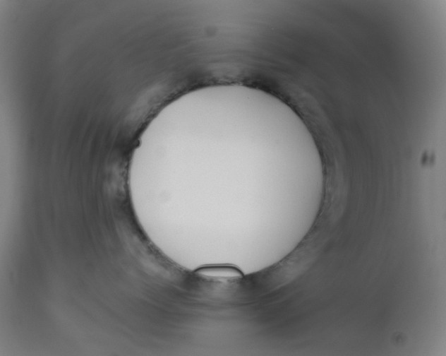 X0000112460768200909071109