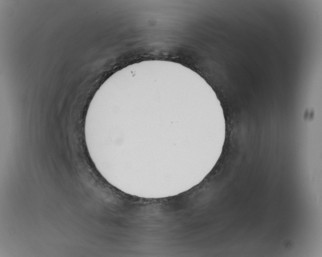 X0000112460769200909071109