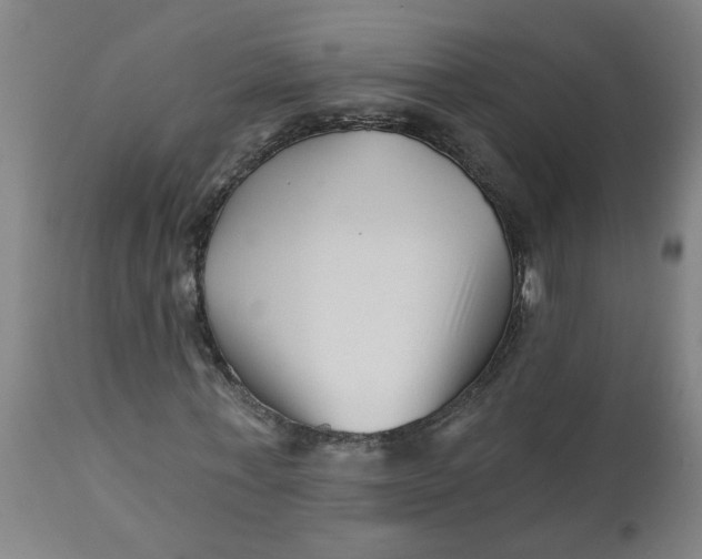 X0000112460771200909071109