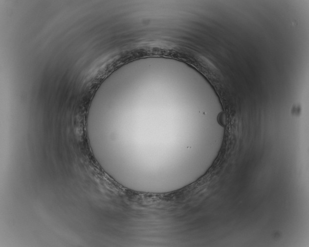 X0000112460774200909071109