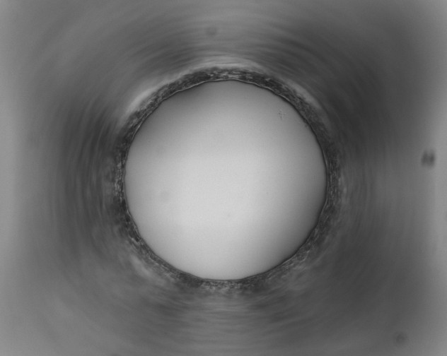 X0000112460775200909071109