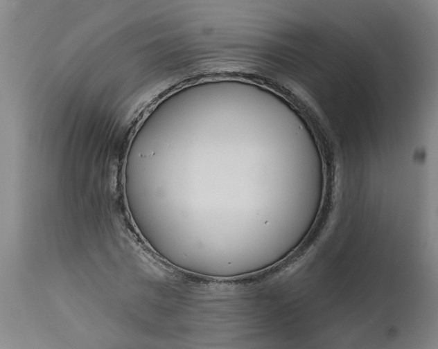 X0000112460777200909071109