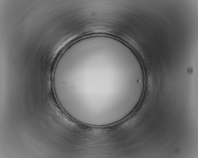 X0000112460782200909071108