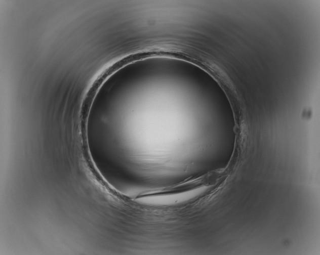 X0000112460784200909071108