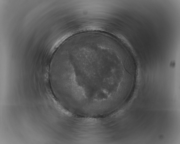 X0000112460785200909071108