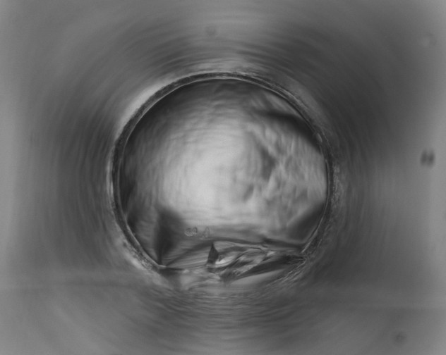 X0000112460788200909071108