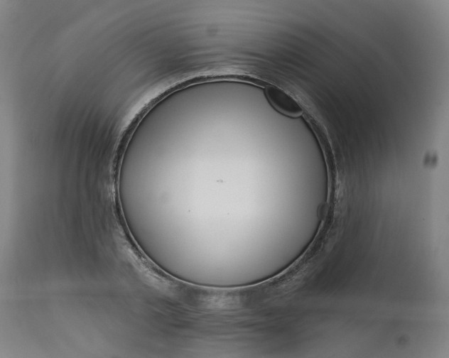 X0000112460789200909071108