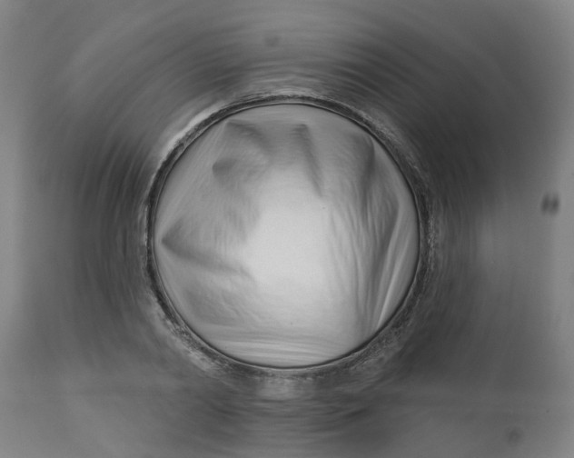 X0000112460790200909071108