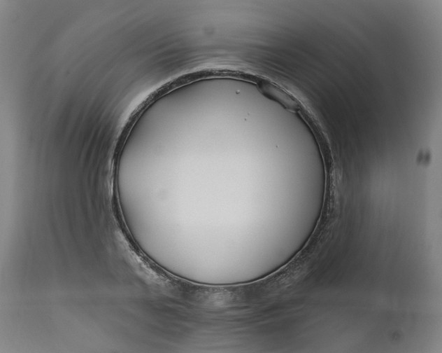 X0000112460791200909071108