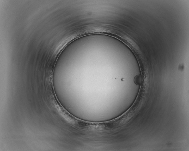 X0000112460793200909071108