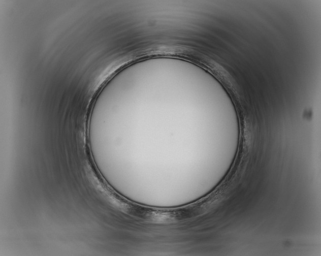 X0000112460794200909071108