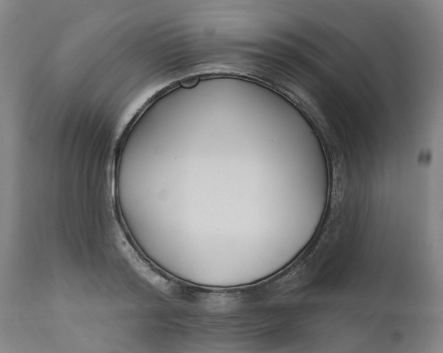 X0000112460796200909071108