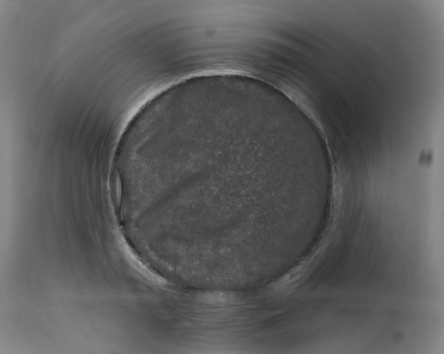 X0000112460797200909071108