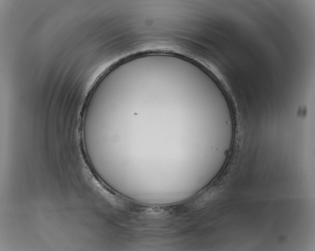 X0000112460799200909071108