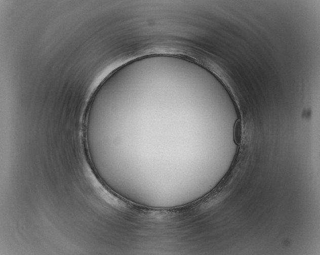 X0000112460803200909071108