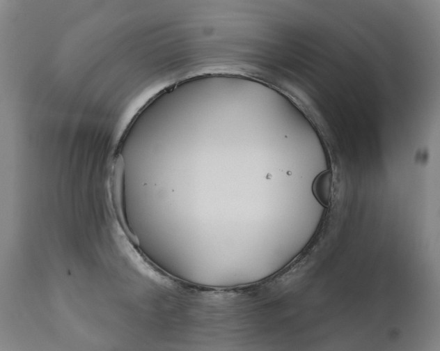 X0000112460804200909071108