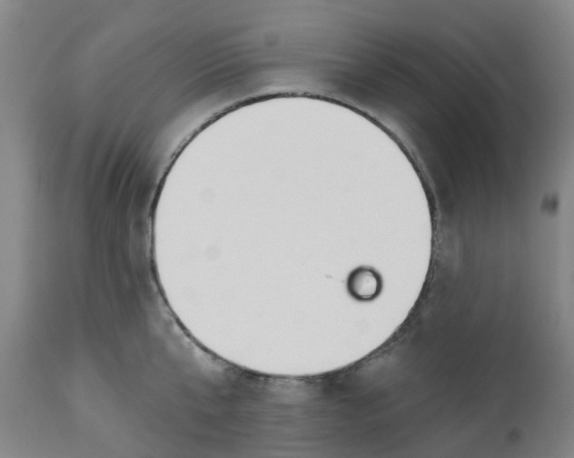 X0000112460807200909071108