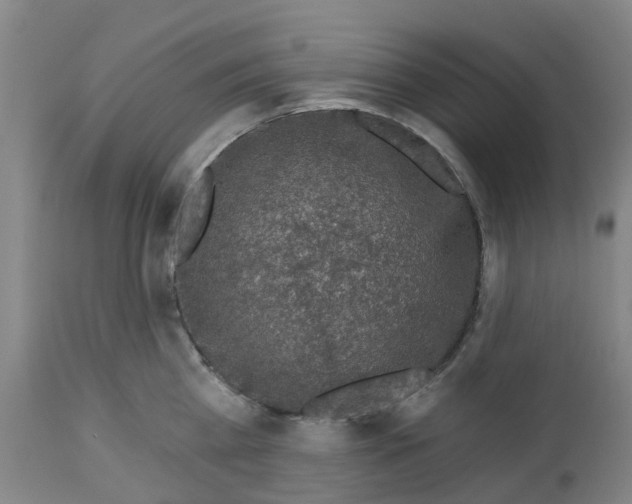 X0000112460809200909071108