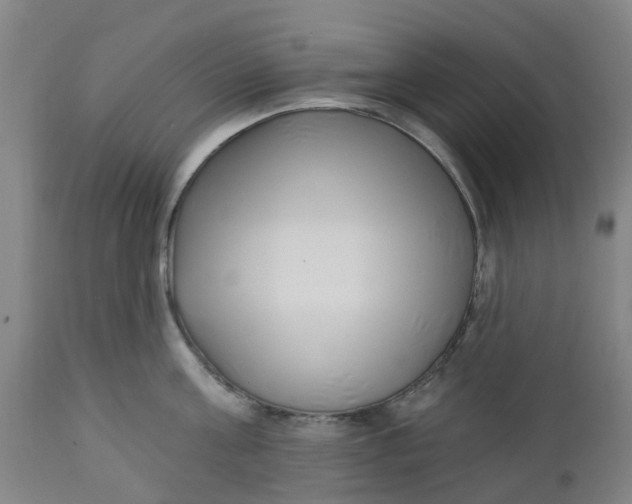 X0000112460811200909071108