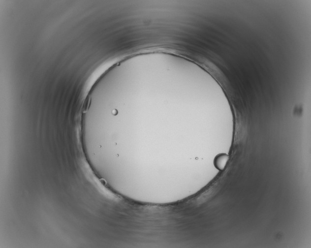 X0000112460812200909071108