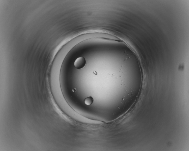 X0000112460813200909071108