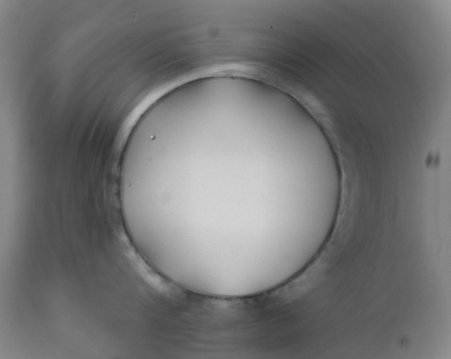 X0000112460816200909071108