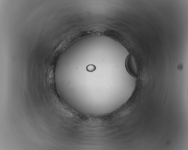 X0000112460818200909071107