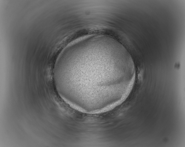 X0000112460819200909071107