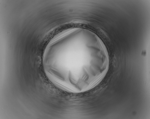 X0000112460821200909071107