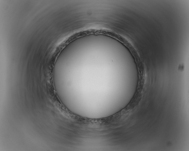 X0000112460823200909071107