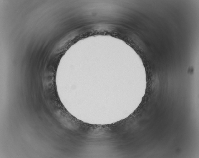 X0000112460824200909071107