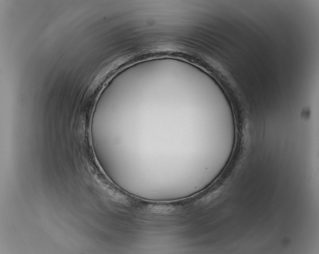 X0000112460825200909071107