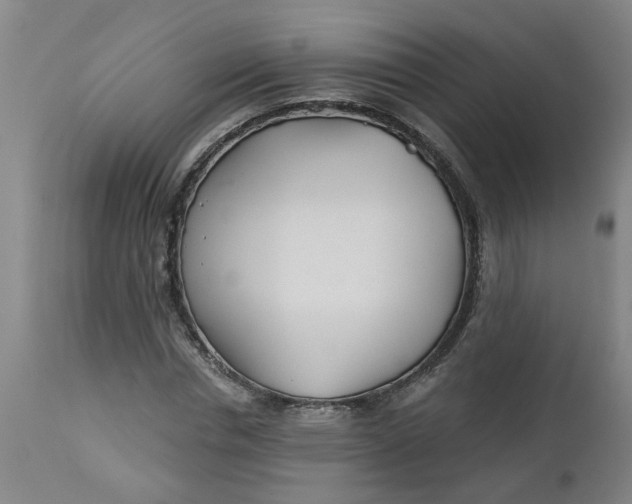 X0000112460826200909071107