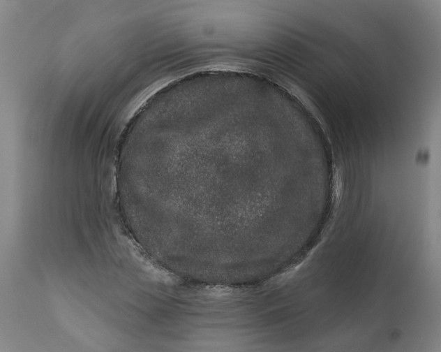 X0000112460829200909071108