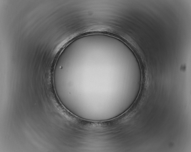 X0000112460834200909071108