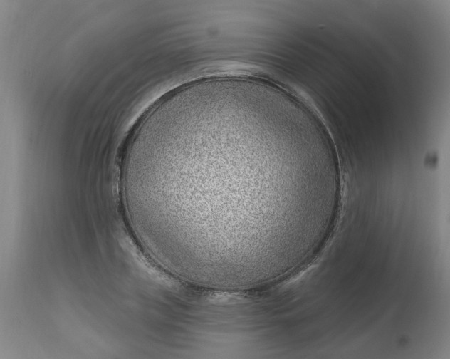 X0000112460835200909071108