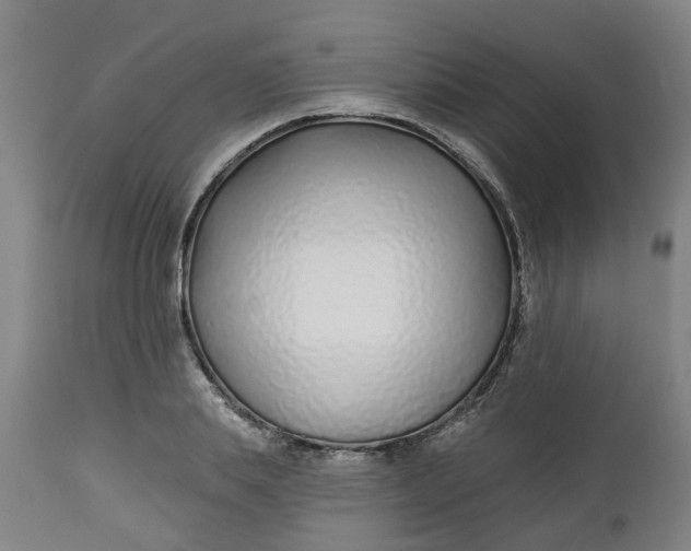 X0000112460839200909071108